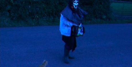 image_web_hallow_front-1